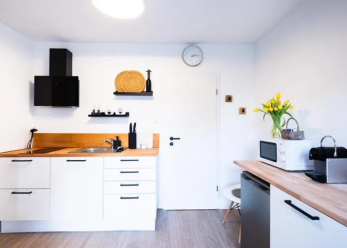 公寓 Modern Loft Merten 博恩海姆